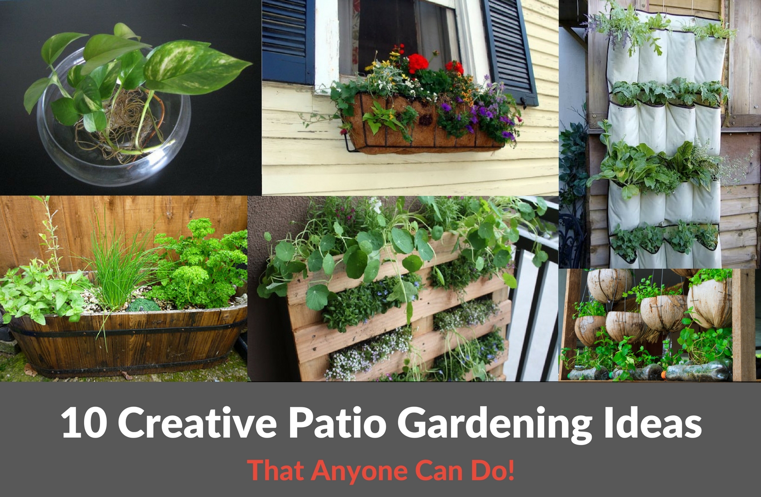 10 Creative Patio Gardening Ideas